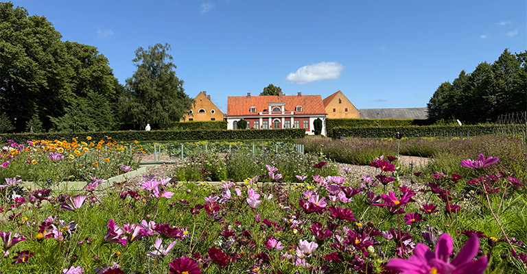 dwór