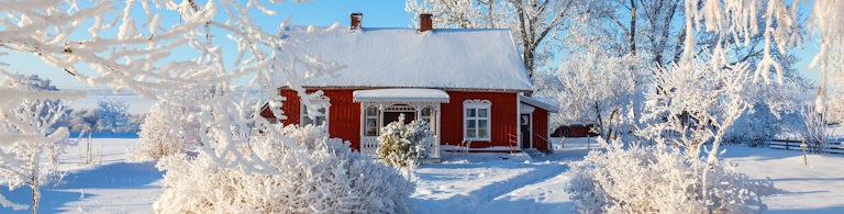 Rejs promem do Szwecji dla 5 osób z samochodem