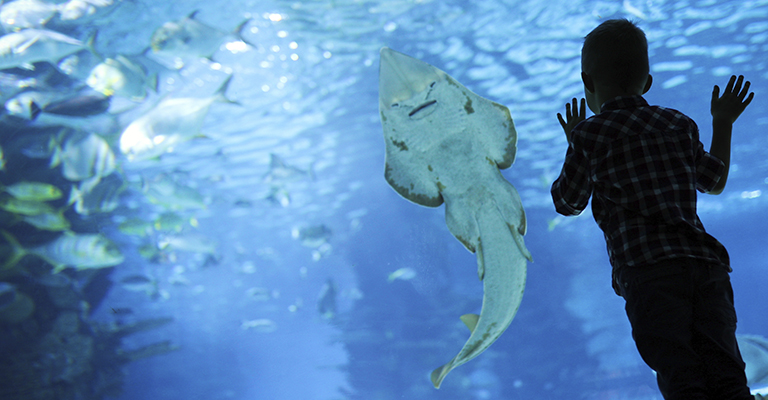 Sjӧfartsmuseet Akvariet