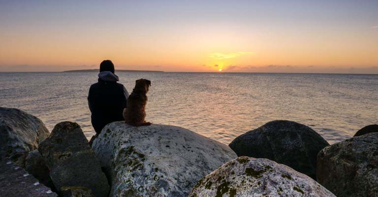 DE-Travelblog-Anreise-nach-Schweden-mit-Hund-768x400.jpg