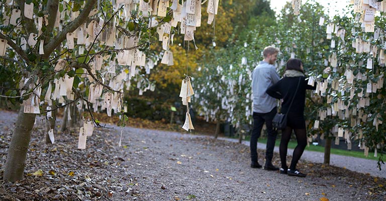 Wish Trees for Wanås