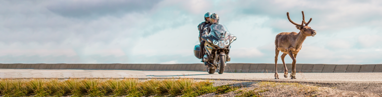 Oferta dla motocyklistów