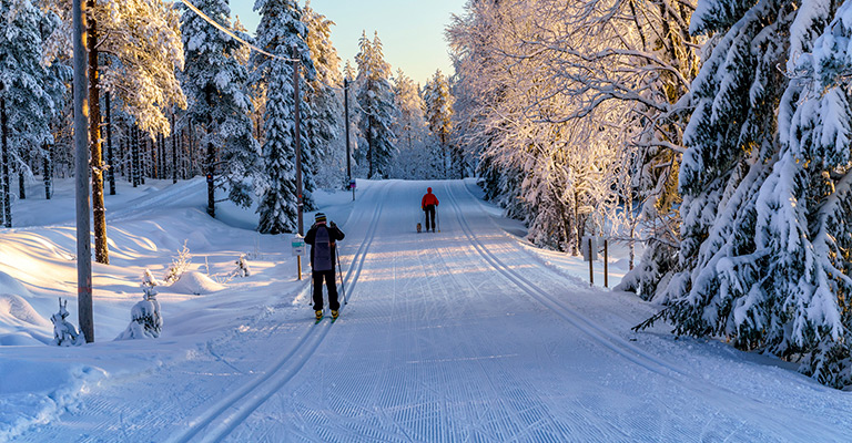 Narciarze w rezerwacie Skrylle
