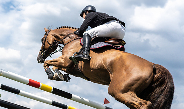 Falsterbo Horse Show