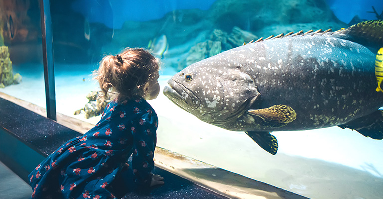 Dziewczynka przy szybie akwarium