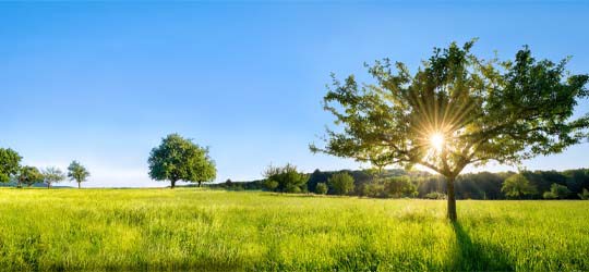 Sonnige Landschaft