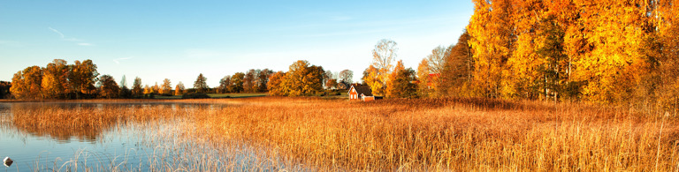 Herbstlicher See 