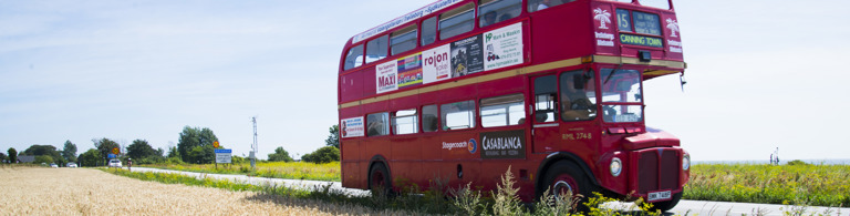 Trelleborg Schweden Palmbus