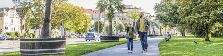 Trelleborg Szwecja Aleja palmowa