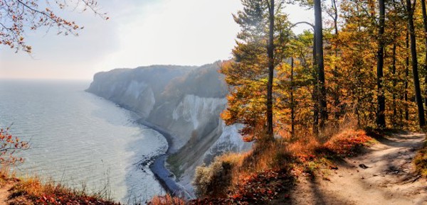 Kreideklippor vid Königsstuhl på Rügen med höstfärgad kustskog och utsikt över havet.